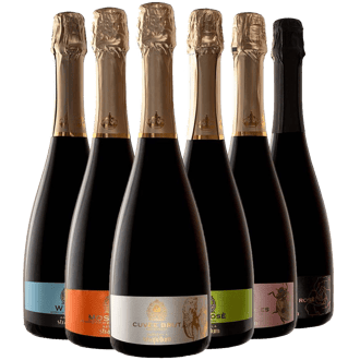 Schaumwein Kennenlern-Paket