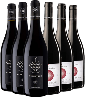 K. Martini & Sohn Rotwein Kennenlern-Paket K. Martini & Sohn Rotwein Kennenlern-Paket