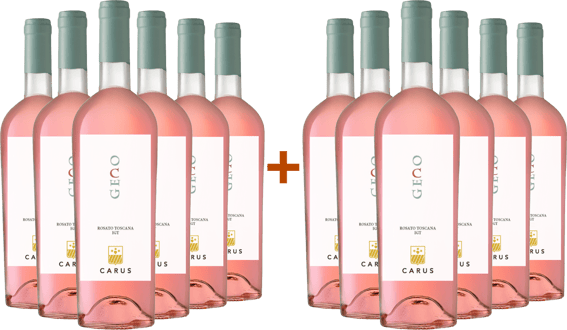 6+6 Paket Geco BIO BIO