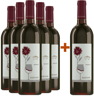5+1 Paket Merlot Friuli Aquileia DOC