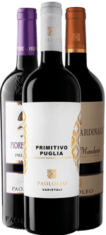 Primitivo Kennenlern-Paket