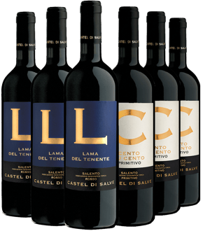 Salento IGP Premium Kennenlern-Paket