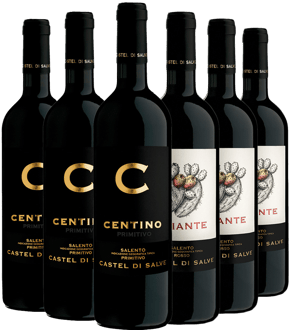 Salento IGP Kennenlern-Paket