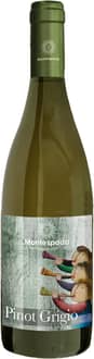 2024 Pinot Grigio Garda DOC