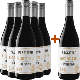 5+1 Paket Passitivo Primitivo Paket