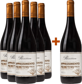 5+1 Paket Passitivo Appassimento Primitivo Puglia IGP