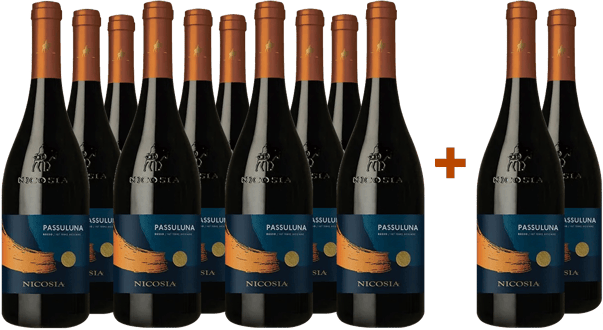 10+2 Paket Passuluna Rosso Terre Siciliane IGP