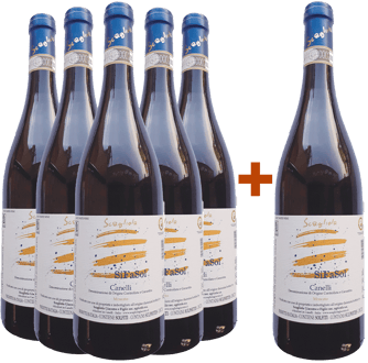 5+1 Paket Moscato SiFaSol Canelli DOCG