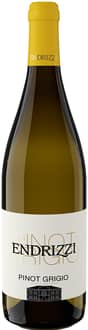 2024 Pinot Grigio Trentino DOC