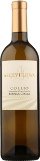 2024 Ribolla Gialla Collio Goriziano DOC
