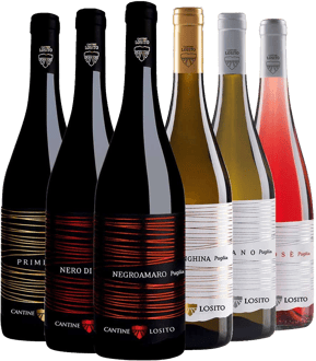 Cantine Losito Kennenlern-Paket BIO