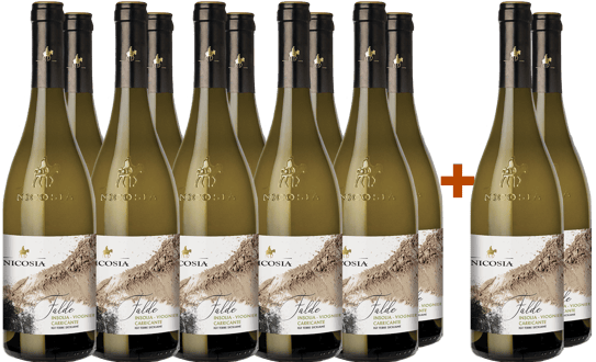 10+2 Paket Falde Insolia Viognier Carricante Terre Siciliane IGP