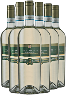 Paket Pinot Grigio delle Venezie DOC-Paket