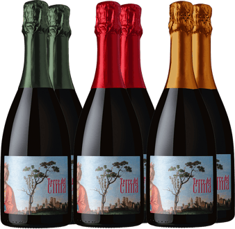 Terre del Cima Kennenlern-Paket