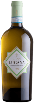 2024 Lugana DOC