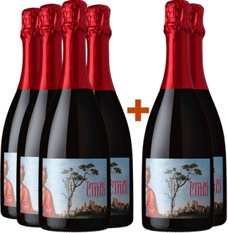 4+2 Paket Conegliano Valdobbiadene Prosecco Superiore DOCG