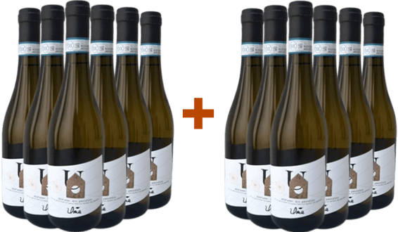6+6 Paket Pecorino Abruzzo DOC BIO