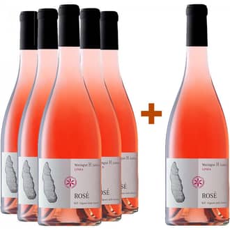 5+1 Paket Rosé Vigneti delle Dolomiti IGP