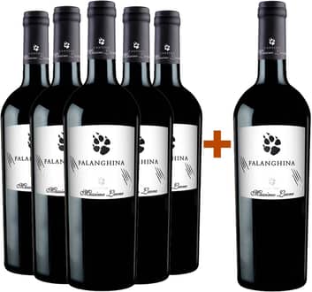 5+1 Paket Falanghina Puglia IGP