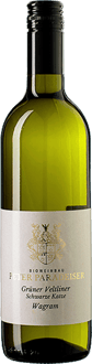 2024 Grüner Veltliner Schwarze Katze BIO