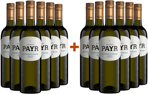 6+6 Sauvignon Blanc Selection ÖTW Gutswein Bio BIO