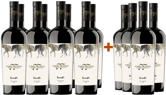 8+4 Paket Incanto Pinot Grigio Lazio IGP BIO