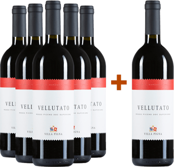5+1 Paket Vellutato Rosso Piceno Superiore DOC