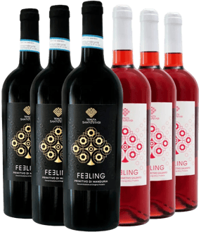 Tenuta Santo Stasi Primitivo-Paket