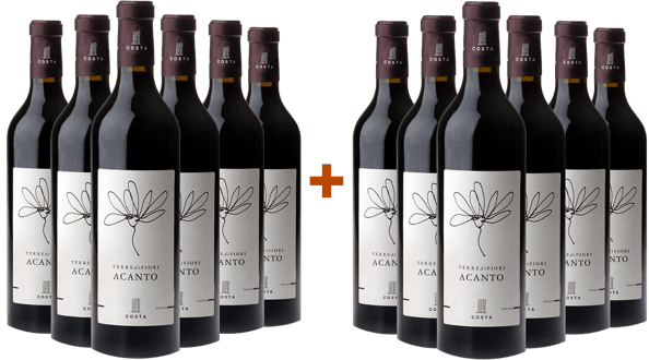 6+6 Terredifiori Acanto Toscana IGP Paket