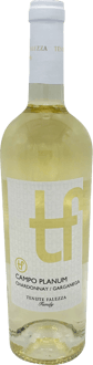 2024 Campo Planum Chardonnay/Garganega Verona IGP