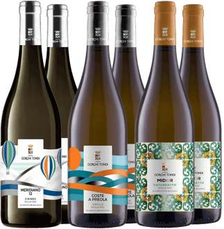 Tenuta Gorghi Tondi Weißwein-Paket BIO