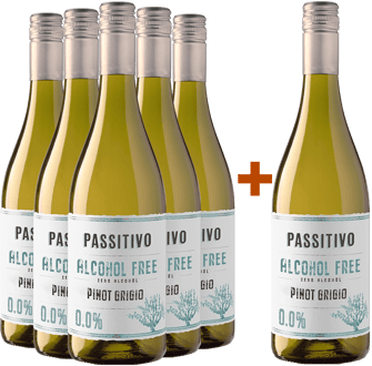 5+1 Paket Passitivo Pinot Grigio Paket