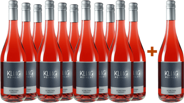 11+1 Paket Schilcher Frizzante