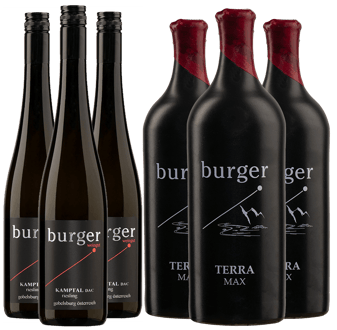 Riesling-Paket trocken