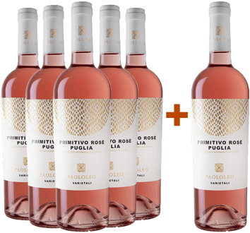 5+1 Paket Primitivo Rosé Puglia IGP