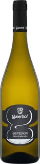 2024 Sauvignon Trentino DOC