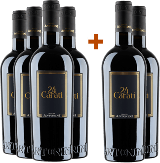 4+2 Paket Tenuta Antonini Alessio 24 Carati Rosso