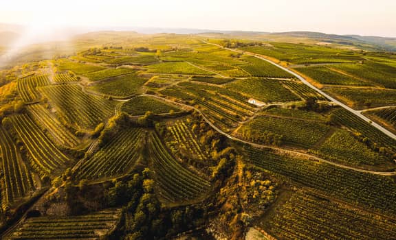 Weingut Rabl - direkt vom Winzer
