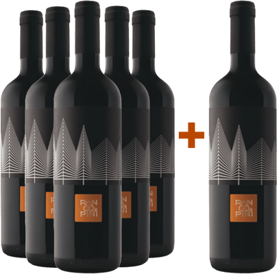 5+1 Paket Sauvignon Friuli Colli Orientali DOC
