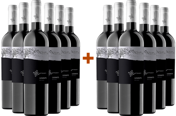 6+6 Paket Catarratto Sicilia DOC BIO