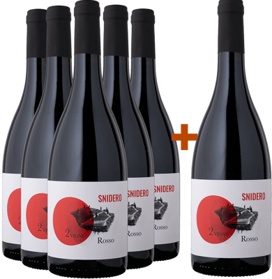 5+1 Paket Rosso Due Vigne Selezione BIO BIO
