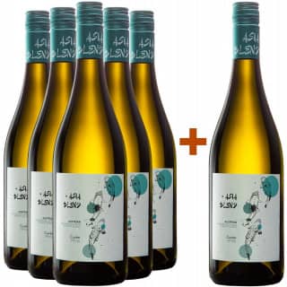 5+1 Paket Asia Blend Cuvée weiß trocken