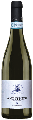 2024 Antithesi Pinot Nero Oltrepó Pavese DOC