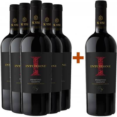 5+1 Paket Intuizione Primitivo Salento IGP