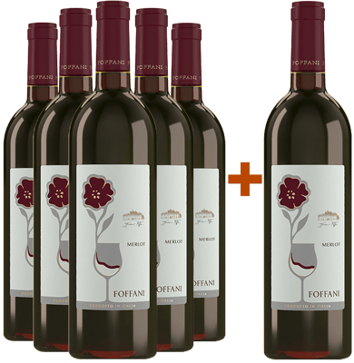 5+1 Paket Merlot Friuli Aquileia DOC