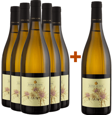 5+1 Paket Fiano Sicilia DOC BIO BIO