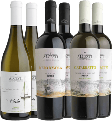 Alcesti Kennenlern-Paket