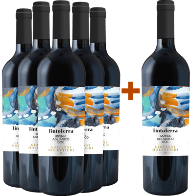 5+1 Paket Falanghina Campania IGP