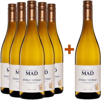 5+1 Paket Grüner Veltliner Leithaberg DAC trocken