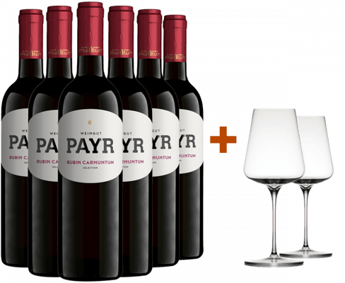 Zweigelt Rubin Carnuntum DAC ÖTW Gebietswein trocken Bio + 2 GRATIS Weingläser von UNO Glassworks Bio - Weingut Payr
